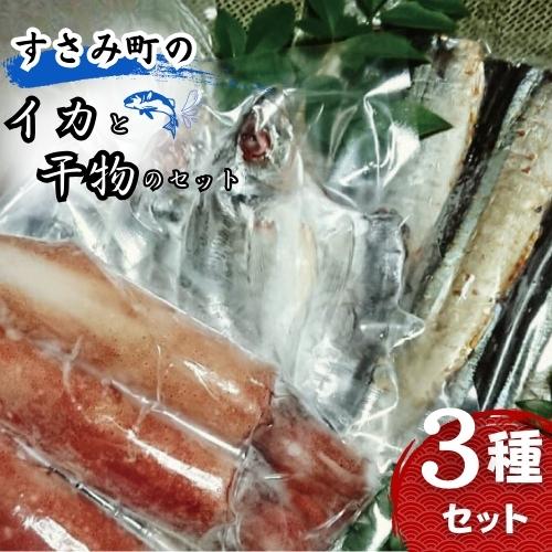 【ふるさと納税】すさみ町のイカと干物のセット（イカ×3〜5枚 、干物×6枚【あじ開き×3 、さんまみりん..