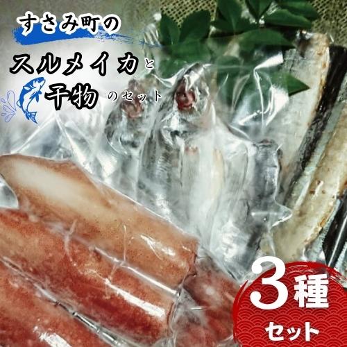 【ふるさと納税】すさみ町のスルメイカと干物のセット（スルメイカ×1匹 、干物×6枚【あじ開き×3 、さ...