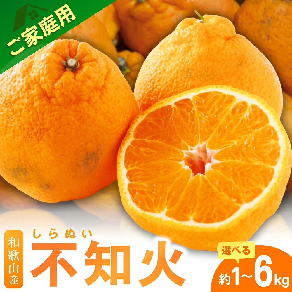 家庭用 不知火 デコポン ファミリー層 高評価