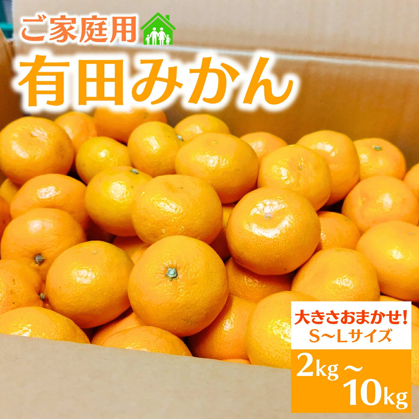 【ふるさと納税】 ご家庭用 有田みかん 和歌山 S～Lサイズ 大きさお任せ 【選べる容量】 2kg 3kg 5kg 10kg 【選べる配送月】【2024年10月～2025年1月頃に順次発送予定】/ みかん フルーツ 果物 くだもの 蜜柑 柑橘 オレンジ ミカン 和歌山 家庭用のサムネイル