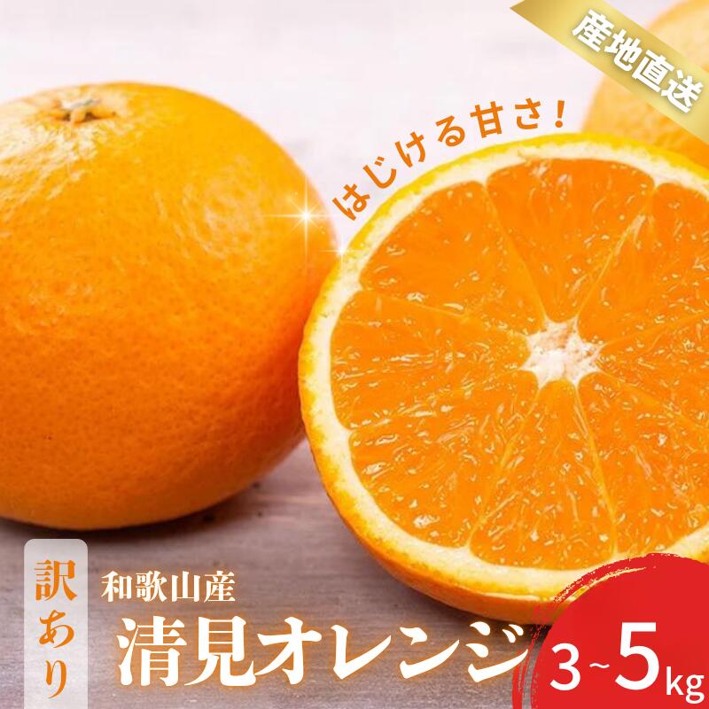 【ふるさと納税】【先行予約】 訳あり きよみ 清美オレンジ 和歌山 有田 2S～3Lサイズ混合 【選べる容量】 3kg 5kg 【2月中旬～3月下旬頃に順次発送】/ みかん フルーツ 果物 くだもの 蜜柑 柑橘 オレンジ キヨミのサムネイル