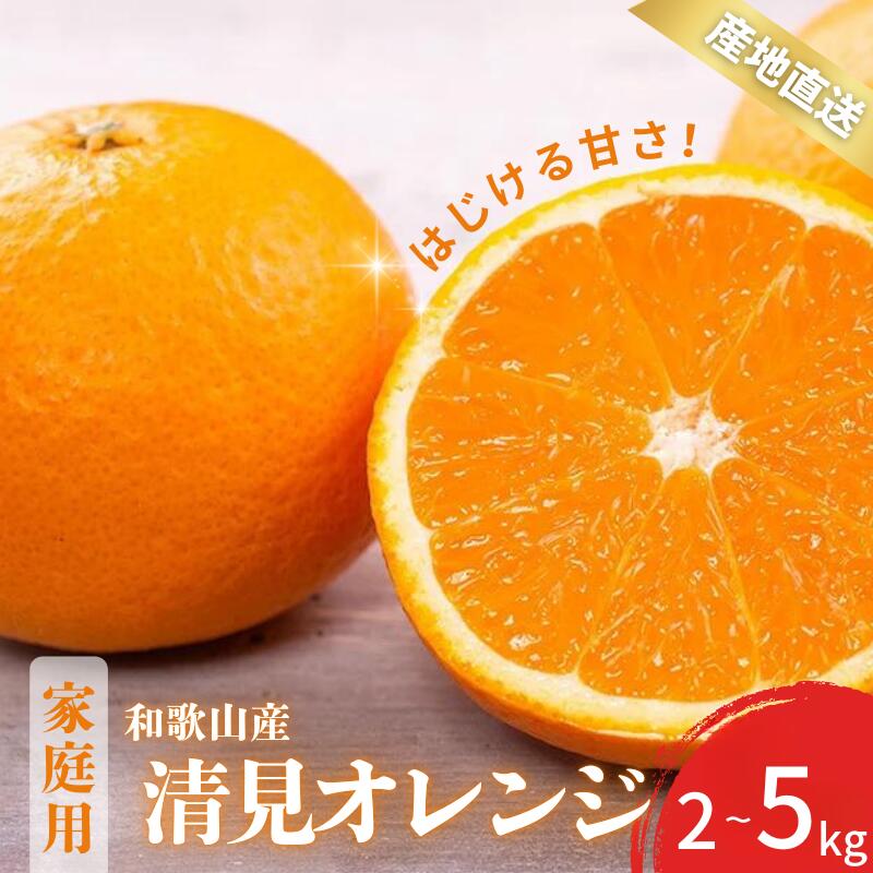 【ふるさと納税】 【先行予約】 ご家庭用 きよみ 清美オレンジ 和歌山 有田 S～2Lサイズ 大きさお任せ 【選べる容量】 2kg 3kg 5kg 【2月中旬～3月下旬頃に順次発送】/ みかん フルーツ 果物 くだもの 蜜柑 柑橘 オレンジ おれんじのサムネイル