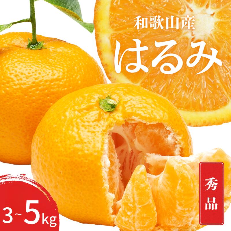[先行予約] 秀品 はるみ 和歌山 有田 S〜2Lサイズ 大きさお任せ [選べる容量] 3kg 5kg [2026年1月下旬〜3月下旬までに順次発送予定]/ みかん フルーツ 果物 くだもの 蜜柑 柑橘 オレンジ