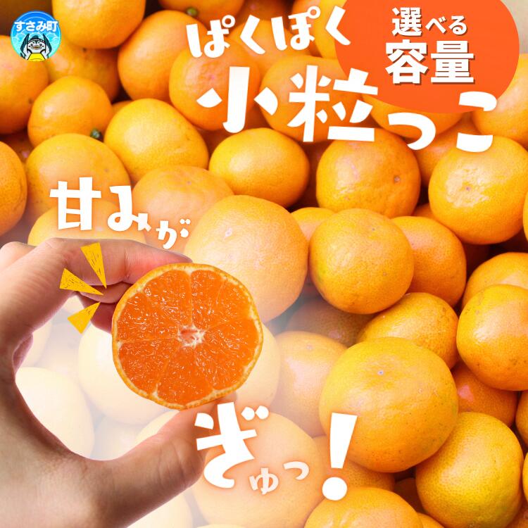 温州みかん 「小粒っこ」 2kg 4kg 10kg※箱込み ※秀優混合 [2S〜3Sサイズおまかせ][2025年10月中旬〜2026年1月下旬までに順次発送](極早生・早生・中生・晩稲)[味好農園]/ 温州 みかん 小玉 蜜柑 柑橘 みかん 極早生 早生 中生 晩稲 小粒 果物 フルーツ