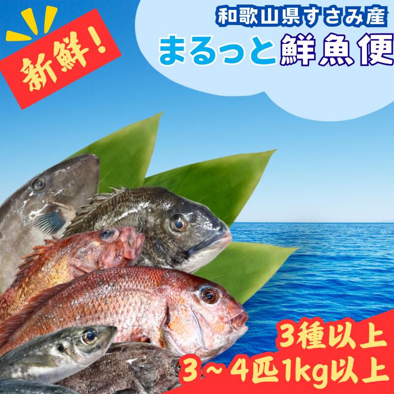 鮮魚[何が届くかお楽しみ]和歌山県すさみ産 まるっと鮮魚便[3〜4匹]/ 魚介 海鮮 海の幸 魚 魚料理 冷凍 まるごと 新鮮 刺身 和歌山 すさみ町 大容量