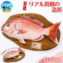 【ふるさと納税】リアル真鯛の造形 / 魚 さかな フィッシュ 釣り 海 うみ タイ まだい タイ クマノミ 海水魚 海の生き物 鍵 かぎ 家 車 自転車 かわい...