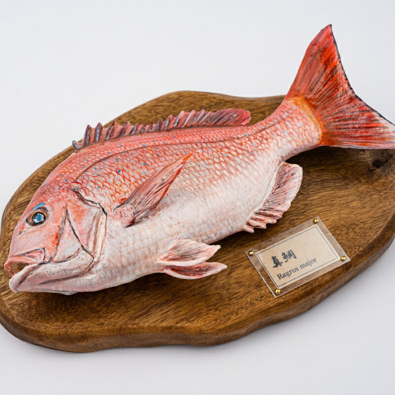 リアル真鯛の造形   魚 さかな フィッシュ