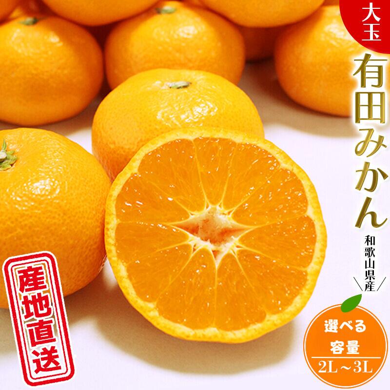 【ふるさと納税】 有田みかん 先行予約 ＼ みかんの名産地 和歌山県産／ 農家直送 大玉有田みかん 【選べる容量】 【5kg 10kg】 (2L〜3L) ひとつひとつ手選別で厳選【2024年11月下旬頃～2025年1月頃順次発送予定】 みかん ミカン 温州みかん 柑橘 果物 くだもの フルーツのサムネイル