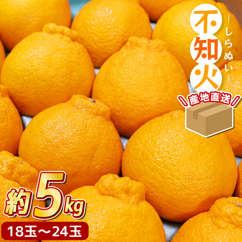 【ふるさと納税】 不知火 ＼ みかん
