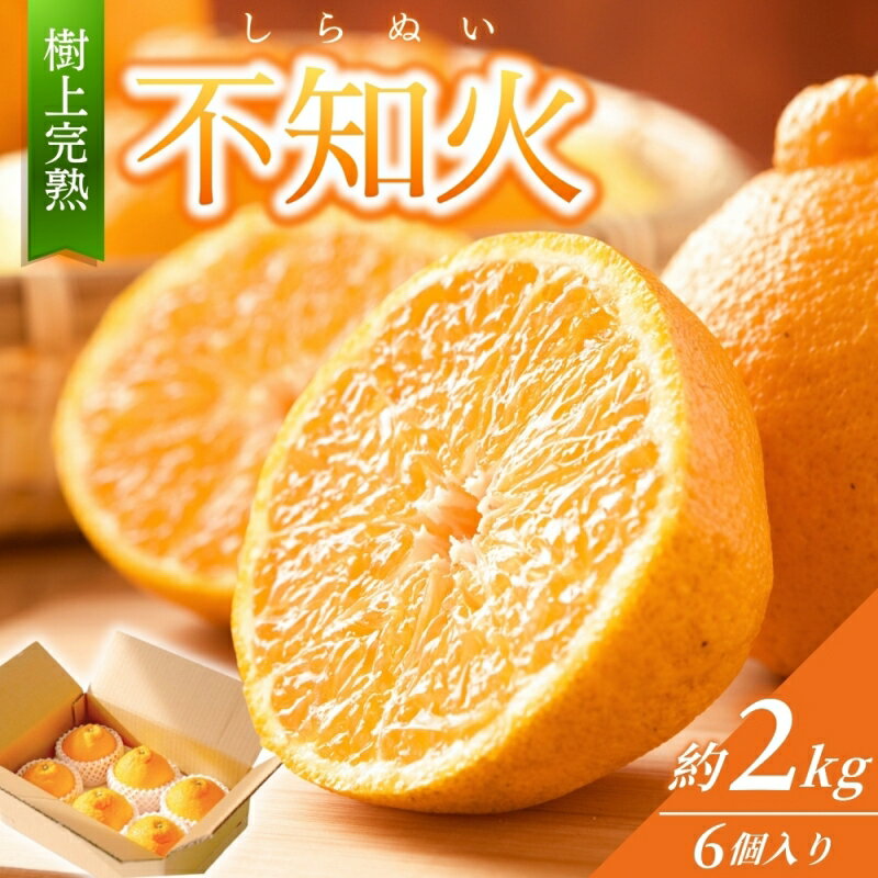 【ふるさと納税】【先行予約】 【数量わずか】 樹上完熟しらぬい (不知火) 約 2kg (6個) 秀品 2026年2月末~2026年4月中旬頃に順次発送予定(お届け日指定不可)/ 和歌山 みかん しらぬい 不知火 フルーツ 柑橘 蜜柑 果物 くだもの