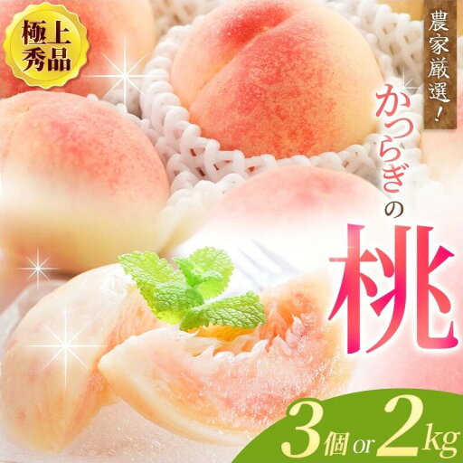 【ふるさと納税】【先行予約】【厳選】あふれる果汁で口いっぱい! 和歌山県産 桃 【選べる容量】3玉 2kg 2025年6月末頃~2025年8月末頃に順次発送予定(お届け日指定不可)/ 和歌山 モモ フルーツ もも 白桃 果物 くだもの 【ふるさと納税】【先行予約】【厳選】あふれる果汁で口いっぱい! 和歌山県産 桃 【選べる容量】3玉 2kg 2025年6月末頃~2025年8月末頃に順次発送予定(お届け日指定不可)/ 和歌山 モモ フルーツ もも 白桃 果物 くだもの