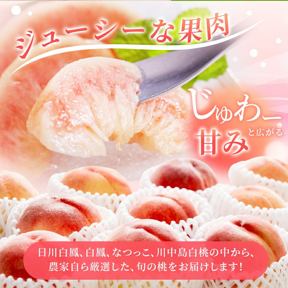 【ふるさと納税】【先行予約】【厳選】あふれる果汁で口いっぱい！ 和歌山県産 桃 【選べる容量】3玉 2kg 2025年6月末頃～2025年8月末頃に順次発送予定（お届け日指定不可）/ 和歌山 モモ フルーツ もも 白桃 果物 くだもの