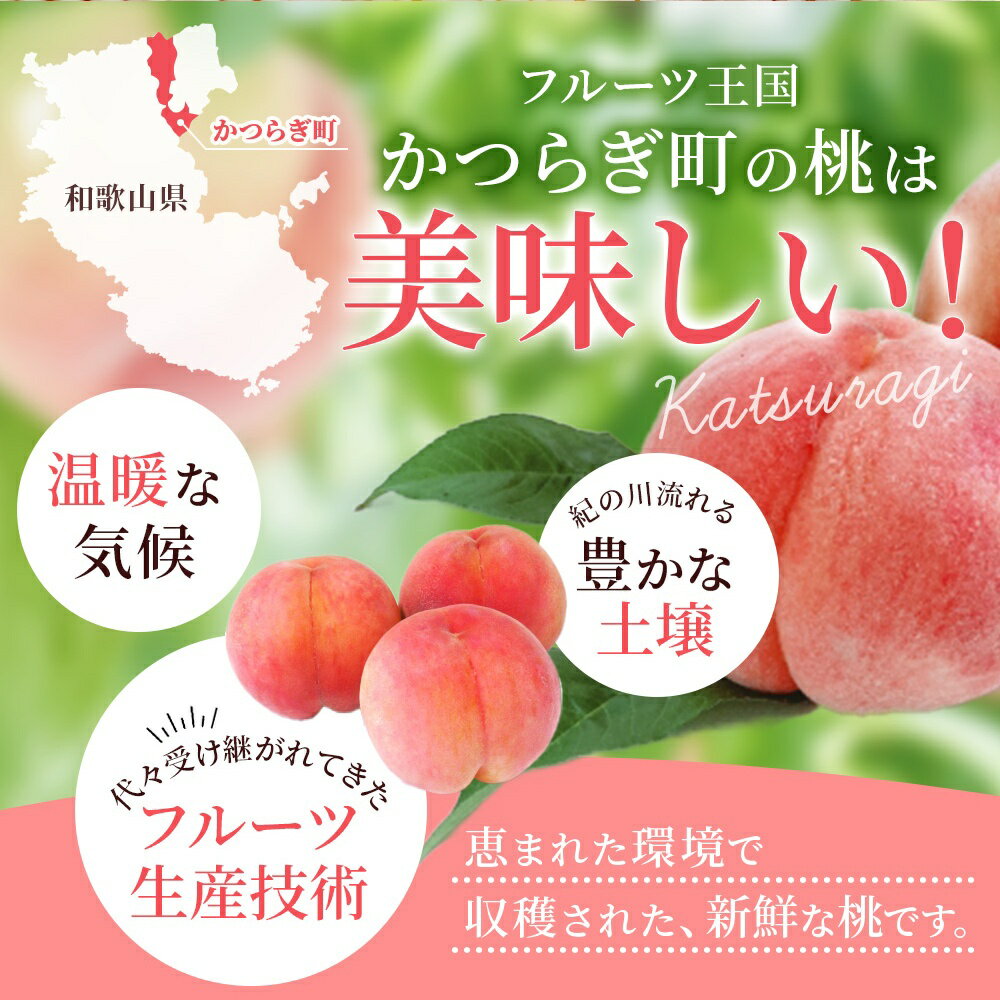 【ふるさと納税】【先行予約】【厳選】あふれる果汁で口いっぱい！ 和歌山県産 桃 【選べる容量】3玉 2kg 2025年6月末頃～2025年8月末頃に順次発送予定（お届け日指定不可）/ 和歌山 モモ フルーツ もも 白桃 果物 くだもの