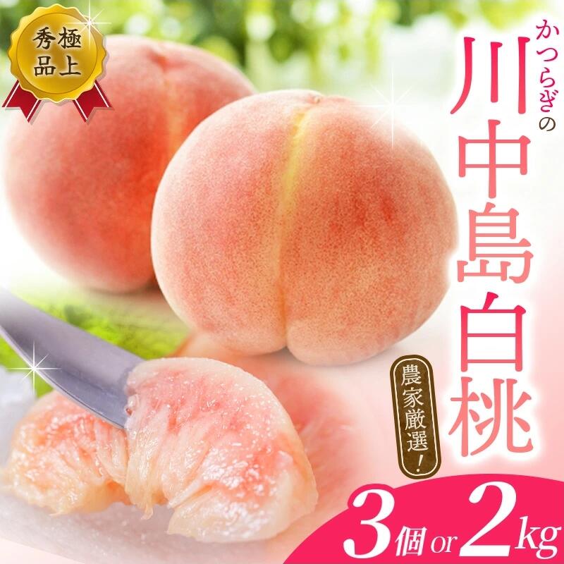 ڤդ뤵Ǽǡ ͽա ȸ  ²λ ý 򤷤 ٤ ٤̡3 2kg ...