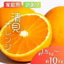 【ふるさと納税】国産 オレンジ 希少 手選別 清見オレンジ 【家庭用・訳あり】 約1.5kg / 約2kg / 約4.5kg / 約6kg / 約8kg / 約10kg 和歌山県産 サイズ混合 【北海道・沖縄・離島配送不可】【2026年2月上旬~5月中旬頃に順次発送】