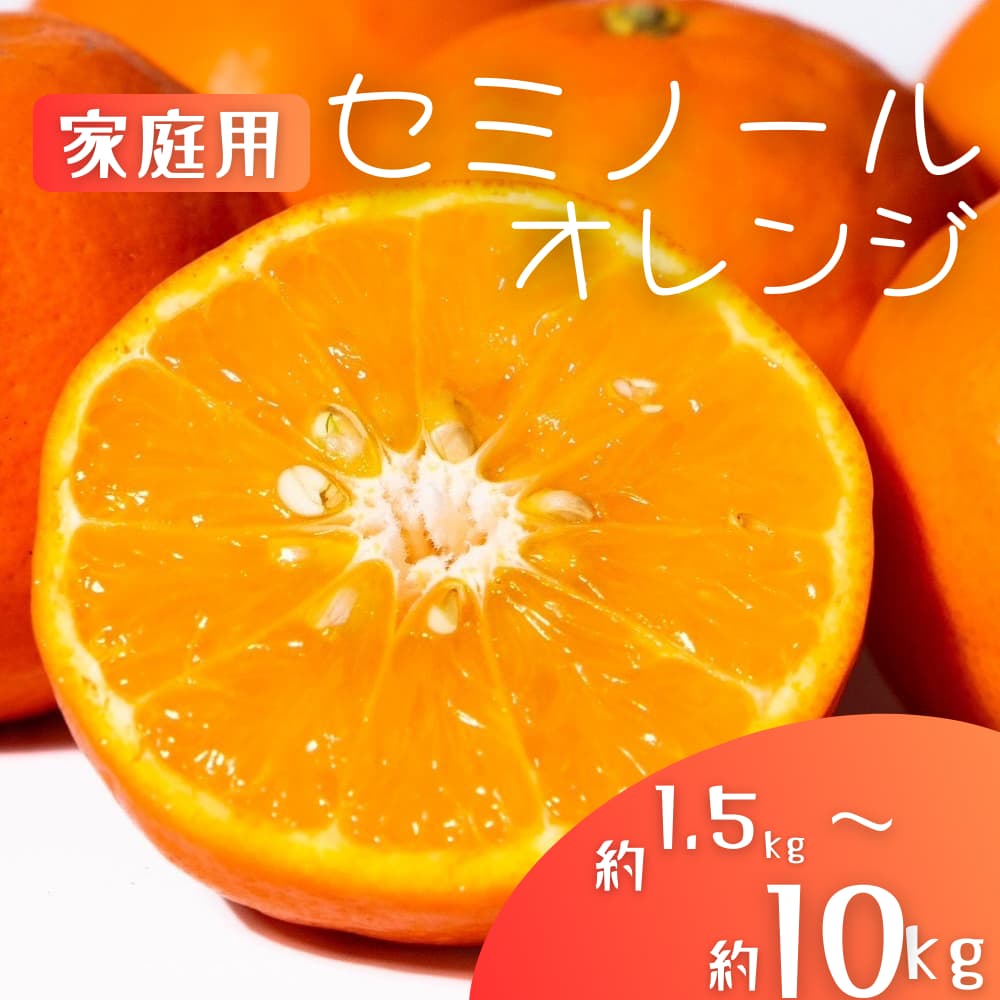 国産 オレンジ 希少 手選別 セミノールオレンジ [家庭用・訳あり] 約1.5kg / 約4.5kg / 約6kg / 約8kg / 約10kg 和歌山県産 サイズ混合 [北海道・沖縄・離島配送不可][2026年2月上旬〜5月中旬頃に順次発送]