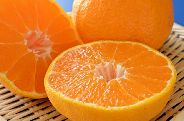 大人気和歌山有田の濃厚デコポン　15〜24玉(約5kg)