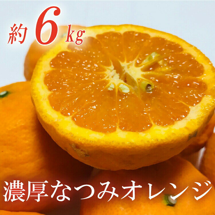 【みかん名産地和歌山有田】濃厚なつみオレンジ(ご家庭用) 約6kg ※2023年4月上旬〜4月下旬順次発送予定※北海道・沖縄・離島配送不可