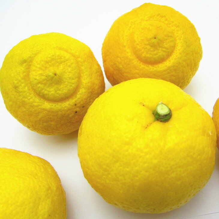 [1月下旬〜][先行予約]特撰 はるか[選べる容量] ※2026年1月下旬〜3月下旬頃に順次発送予定 ※北海道・沖縄配送不可