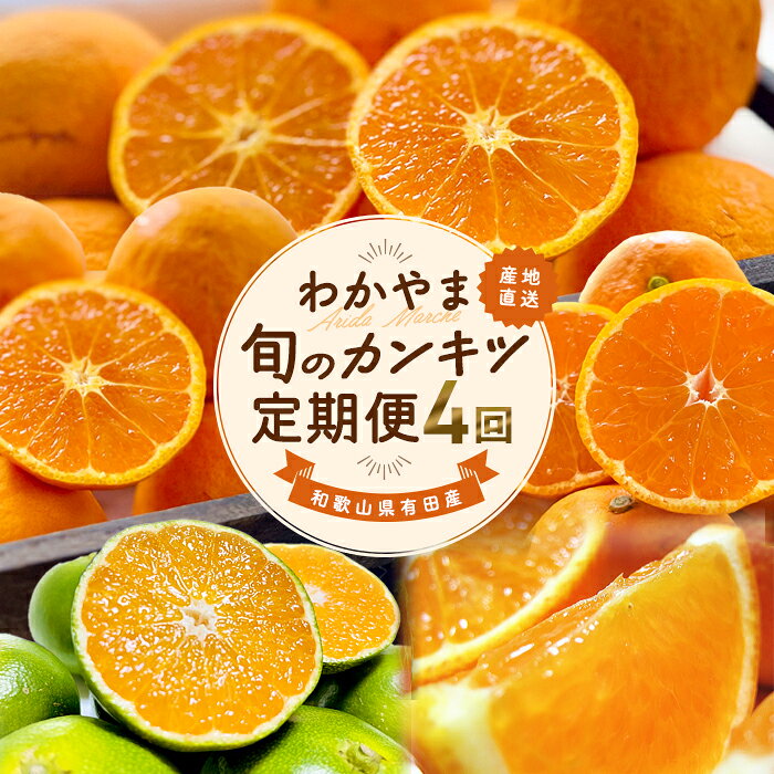 和歌山旬のカンキツ定期便【M】全4回（配送日時指定不可）※沖縄・離島への配送不可 / 定期便 フルーツ みかん 清見オレンジ 青切り 青切りみかん カラマンダリン 4回