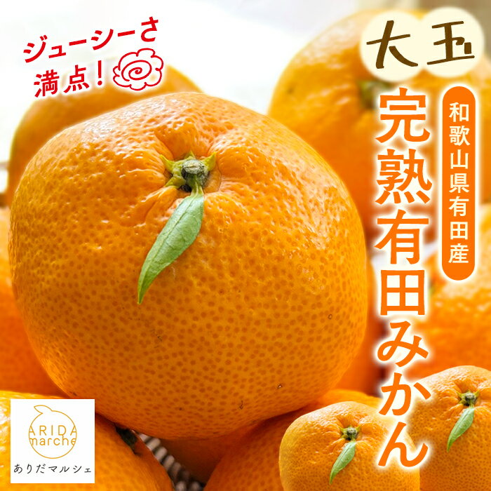 有田みかん[果汁たっぷり][選べる容量]迫力満点! 大粒有田みかん[11月中旬〜12月下旬順次発送予定(日時指定不可)]※北海道・沖縄・離島配送不可 / 大粒みかん みかん くだもの 果物 フルーツ 柑橘 ミカン 大粒 大玉 大玉みかん