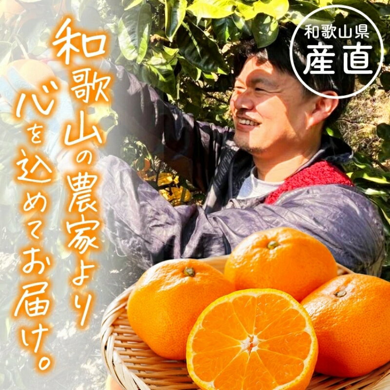 【ふるさと納税】【全4回】和歌山旬のカンキツ定期便 3・5・9・11月発送（ご家庭用）※北海道・沖縄県・離島への配送不可 / 春の柑橘 初夏の柑橘 青切り 有田みかん 完熟有田みかん フルーツ くだもの 果物
