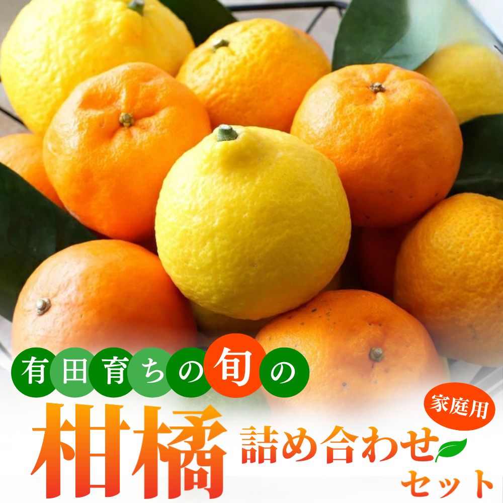 [先行予約] 有田育ちの柑橘詰め合わせセット (ご家庭用) [選べる容量] [2026年1月中旬〜5月下旬頃に順次発送予定] ※北海道・沖縄・離島配送不可