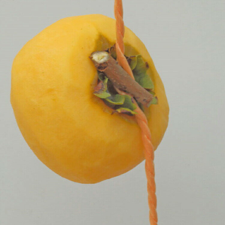 【期間限定】紅ほっぺ Sサイズ(36粒) ≪お届け期間：2025/1/7~2025/6/30≫