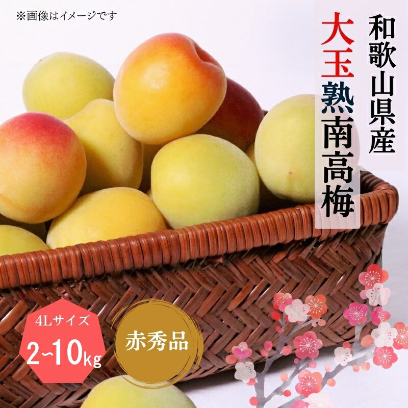 南高梅（完熟）秀品　４Ｌサイズ　箱込み３ｋｇ　梅干し用　滝清園 南高梅（完熟）訳あり 3Lサイズ 箱込み3kg 梅干し用 滝清園