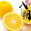 【ふるさと納税】 厳選 はっさく <1月より発送> 【先行予約】 1kg 2.5kg 5kg 7.5kg 10kg(傷み補償分)【八朔みかん】 / ハッサク みかん くだもの わかやま 和歌山 有田みかん ミカン 果物 おすすめ 柑橘 フルーツ 農家直送