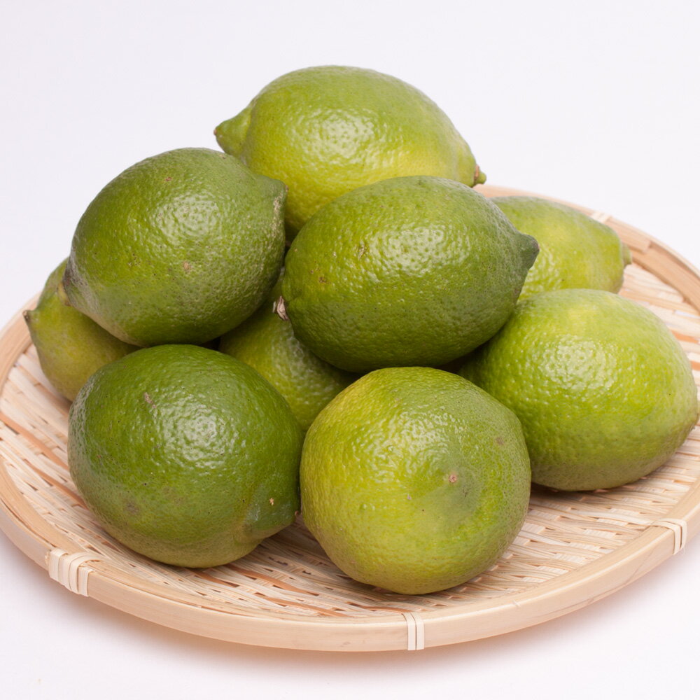 厳選　黒潮レモン選べる容量2.5kg 4kg