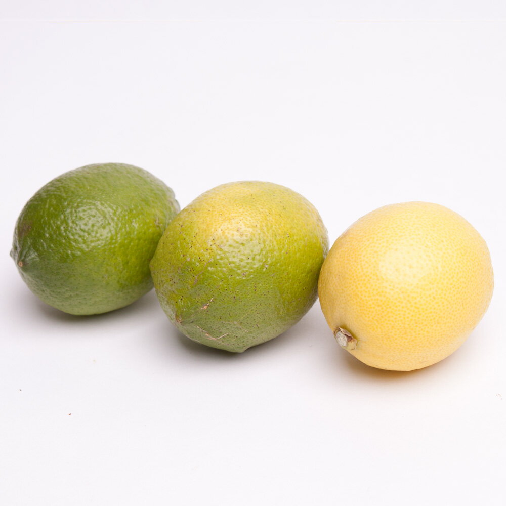 厳選　黒潮レモン選べる容量2.5kg 4kg