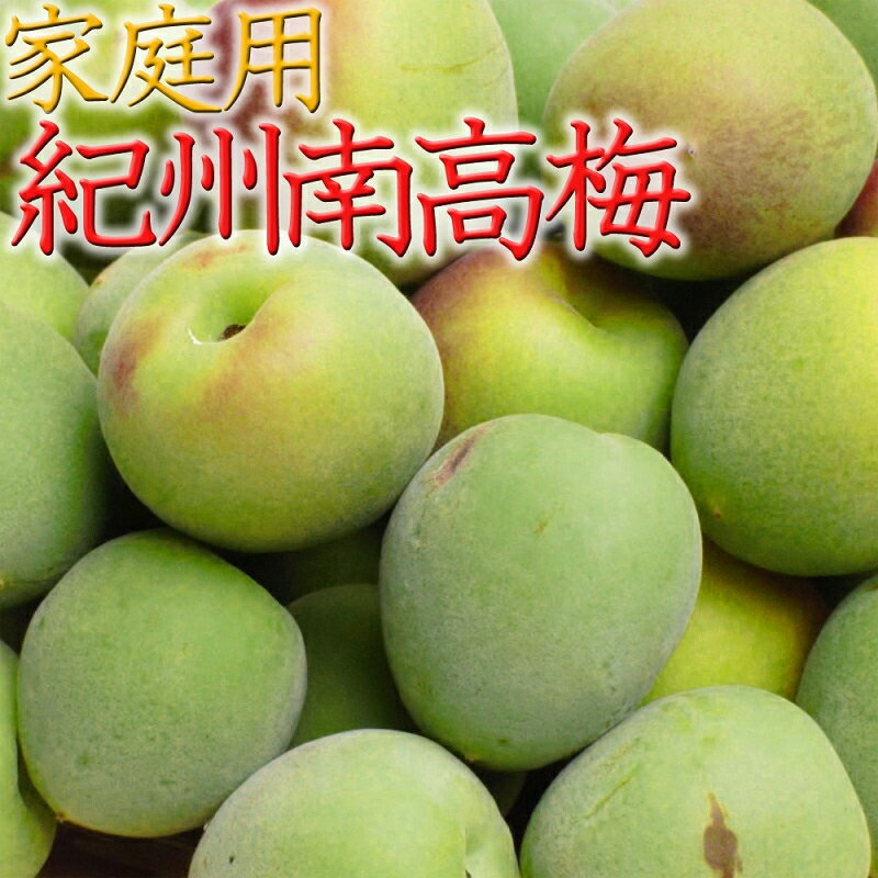 【ふるさと納税】＜6月発送＞家庭用 紀州南高梅(青梅)2kg+60g（傷み補償分）【朝摘み・とれたて直送便】【梅干し・梅酒・梅ジュース】【和歌山産】【わけあり・訳あり】