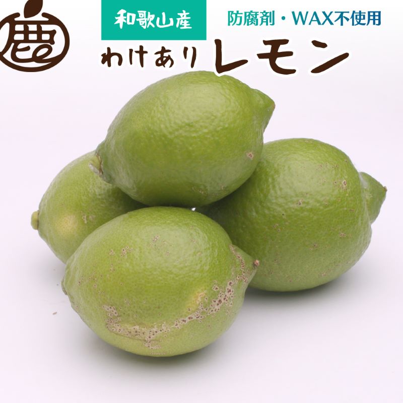 家庭用 黒潮レモン2kg+60g（傷み補償分）【和歌山有田産】【防腐剤・WAX不使用、安心の国産レモン】【わけあり・訳ありレモン】 ※北海道・沖縄・離島への配送不可