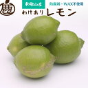 【ふるさと納税】家庭用 黒潮レモン【選べる容量】1kg 2.5kg 5kg 7.5kg 10kg【和歌山有田産】【防腐剤・WAX不使用、安心の国産レモン】【わけあり・訳ありレモン】 ※北海道・沖縄・離島への配送不可 / 和歌山 れもん レモン 黒潮 柑橘 果物 フルーツ