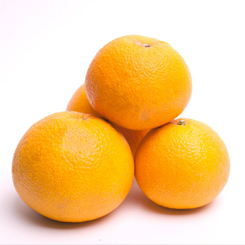 和歌山県すさみ町の画像2