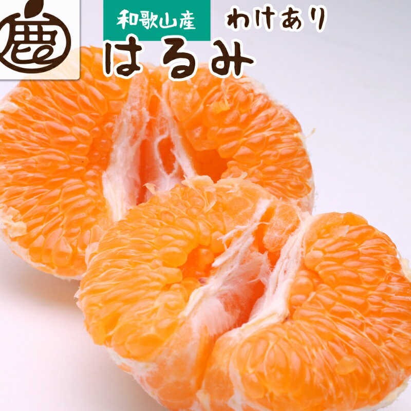 【ふるさと納税】＜先行予約＞家庭用 はるみ1.5kg+45g（傷み補償分）【デコポンの姉妹品種・新食感春みかん】【光センサー選別】【わけあり・訳あり】＜2月より発送＞※北海道・沖縄・離島への配送不可のサムネイル