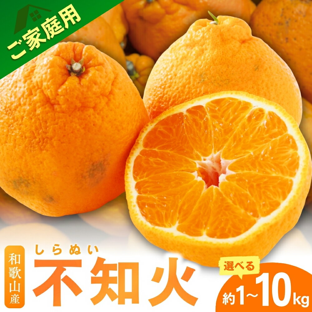 【ふるさと納税】 訳あり 不知火 【デコポンと同品種】 家庭用 ファミリー層 【先行予約】 2026年2月〜順次発送予定【選べる内容量】1kg 2.5kg 5k...