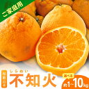 【ふるさと納税】【先行予約】 3/20迄受付 訳ありみかん 不知火 デ...(4)