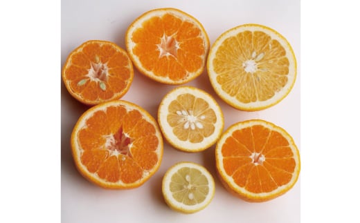 家庭用 柑橘 1.5kg   3kg