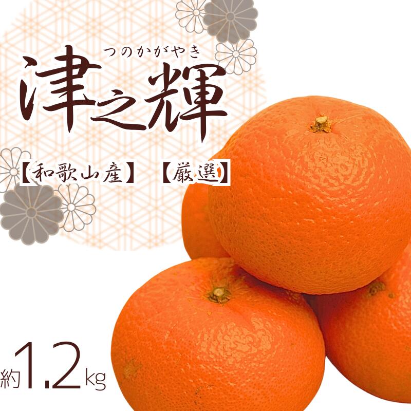 ＜2月より発送＞ 厳選 津之輝 1.2kg+36g（傷み補償分） つのかがやき 【光センサー選別】 ※北海道・沖縄・離島への配送不可 / みかん オレンジ 有田みかん 柑橘 おすすめ フルーツ くだもの 果物 わかやま 和歌山 ミカン