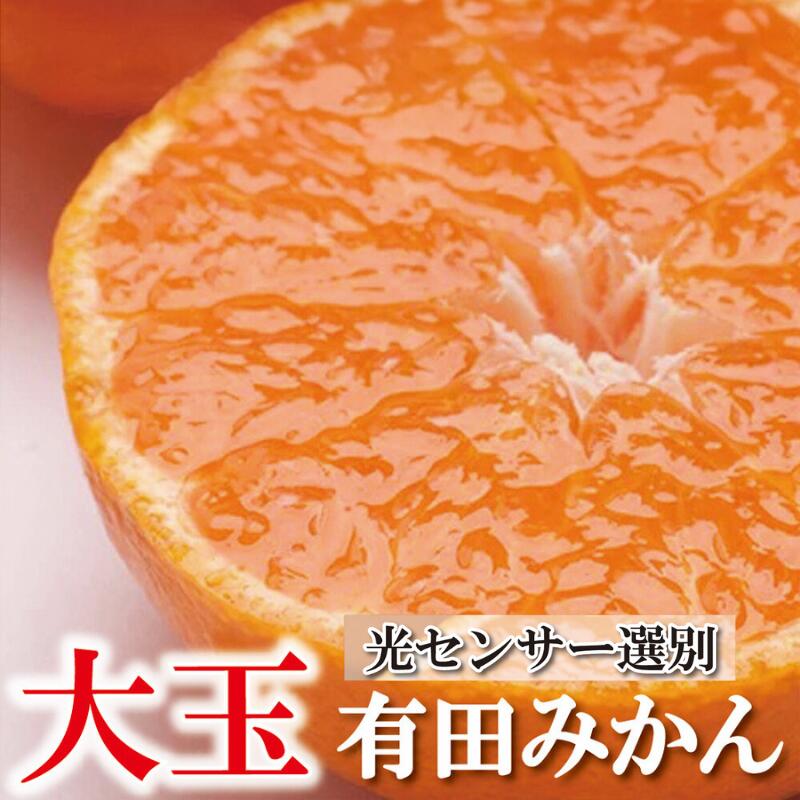 【ふるさと納税】 家庭用 大きな有田みかん 【選べる容量】3kg 5kg 7kg 10kg【わけあり・訳あり】 【光センサー選果】 ＜2024年11月中旬～2025年1月下旬ごろ順次発送＞/ 和歌山 オレンジ 果物 フルーツ 果汁 柑橘 みかん ミカン 有田みかん 果実のサムネイル