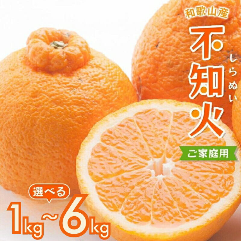 【ふるさと納税】家庭用 不知火 デコポン ファミリー層 高評価★ 訳あり 【選べる内容量】1.5kg 3kg 4kg 5kg 【デコポンと同品種・人気の春みかん】※2月より発送 / 訳あり しらぬい みかん ミカン 柑橘 果物 くだもの フルーツ 先行予約 5000円 8000円 10000円 12000円のサムネイル