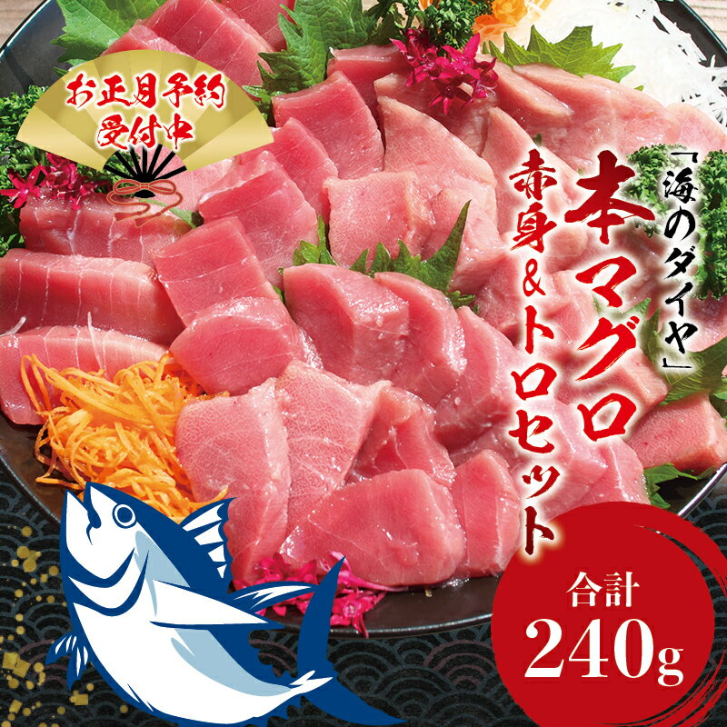 【ふるさと納税】＼年末発送・ 配送時期が選べる ／本マグロ（養殖） トロ＆赤身セット 240g / 中トロ 中とろ まぐろ マグロ 鮪 赤身 丼 じゃばら まぐろ丼 マグロ丼 年末発送 年内発送 年内にお届け 正月 お正月