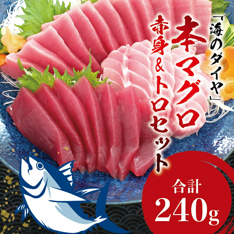 本マグロ(養殖) トロ&赤身セット 240g / 中トロ 中とろ まぐろ マグロ 鮪 赤身 丼 じゃばら まぐろ丼 マグロ丼