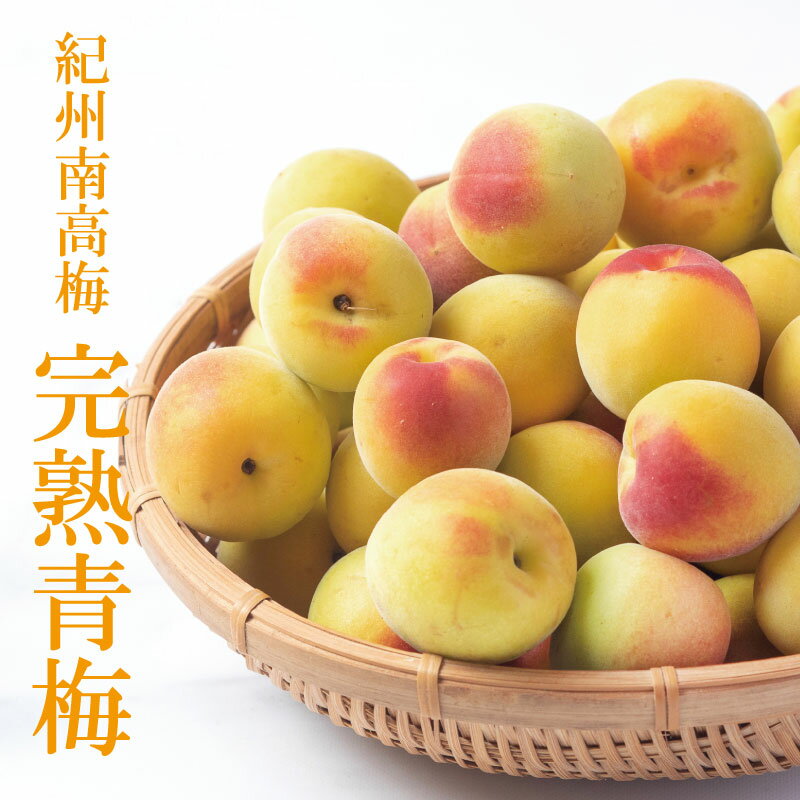 【ふるさと納税】【梅干し用】和歌山の完熟青梅5kg 秀品（サイズ混在）※2023年6月上旬～7月上旬頃に順次発送（お届け日指定不可）紀州南高梅のサムネイル