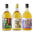 【ふるさと納税】紀州の梅酒 飲み比べ 3本セット 熊野梅酒 本場紀州梅酒 熊野かすみ