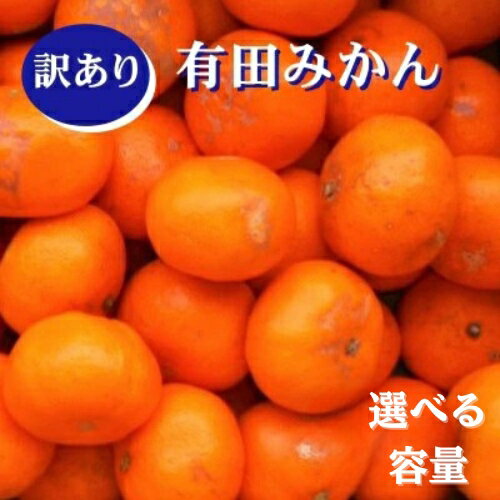 【ふるさと納税】紀州有田みかん 【選べる容量】約5kg 約10kg 訳あり キズ 御家庭用 サイズ混合 / みかん 有田みかん ミカン 果物 くだもの 柑橘 家庭用 訳アリ 訳あり品 有田 【ふるさと納税】紀州有田みかん 【選べる容量】約5kg 約10kg 訳あり キズ 御家庭用 サイズ混合 / みかん 有田みかん ミカン 果物 くだもの 柑橘 家庭用 訳アリ 訳あり品 有田