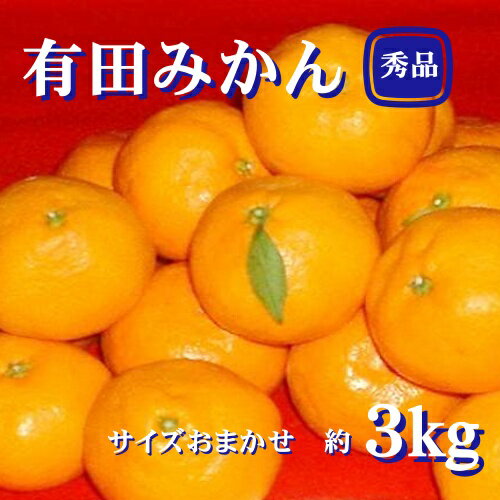 紀州有田みかん 秀品 3kg(L・M・Sサイズおまかせ) ※2024年11月下旬頃より順次発送予定