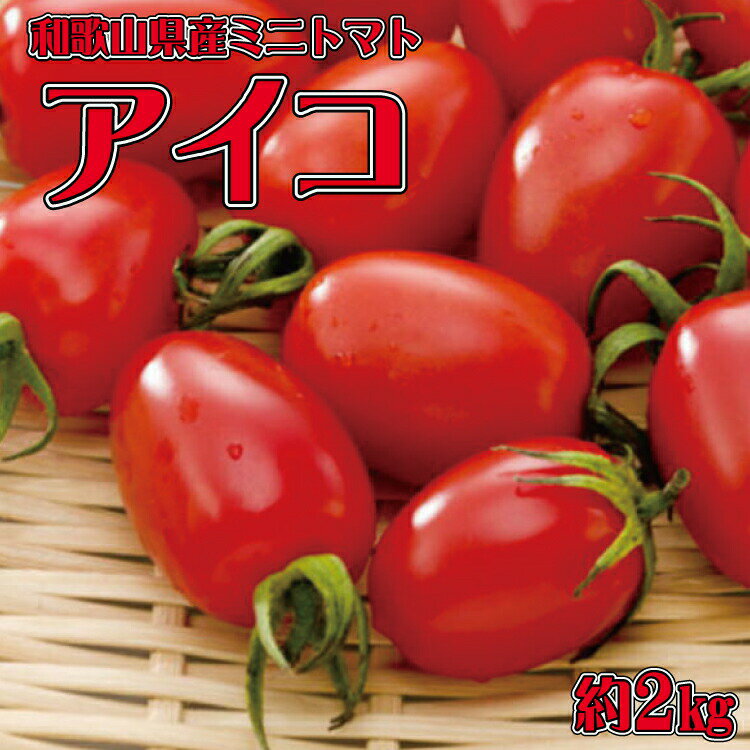 和歌山産ミニトマト「アイコトマト」約2kg(S・Mサイズおまかせ)